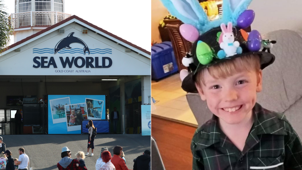 Mystery SeaWorld toy that left Gold Coast boy ‘beyond recovery’ revealed