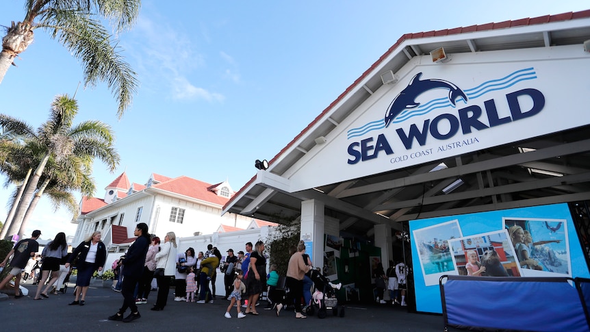 Sea World removes toy from sale after Gold Coast boy critically injured