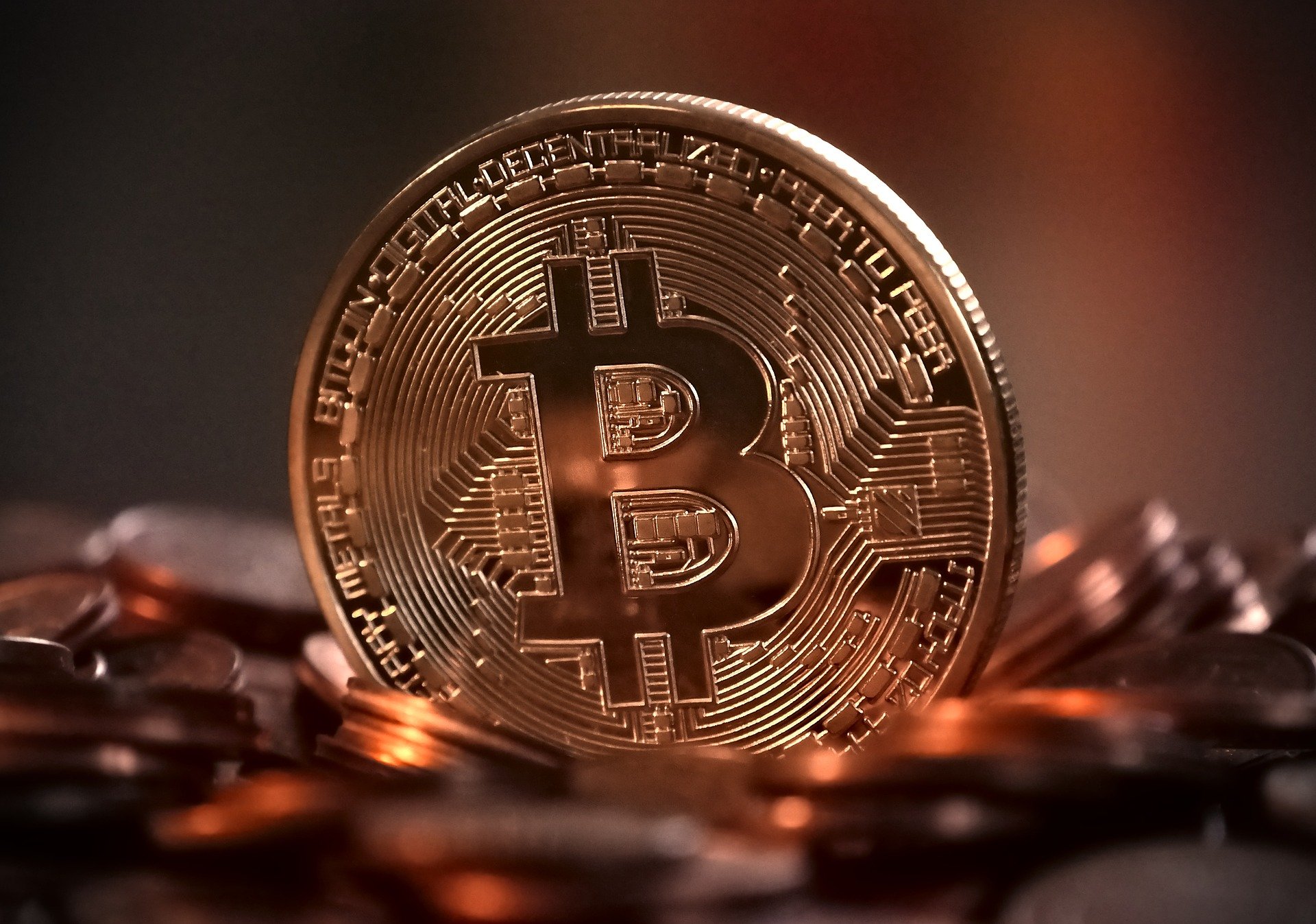 Eric Dalius Bitcoin Advises How You Can Help Your Miami Business To Grow Using Bitcoin