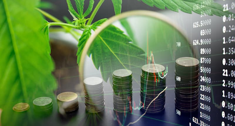 The Best Marijuana Stocks To Buy For 2021? 3 Top US Pot Stocks Right Now