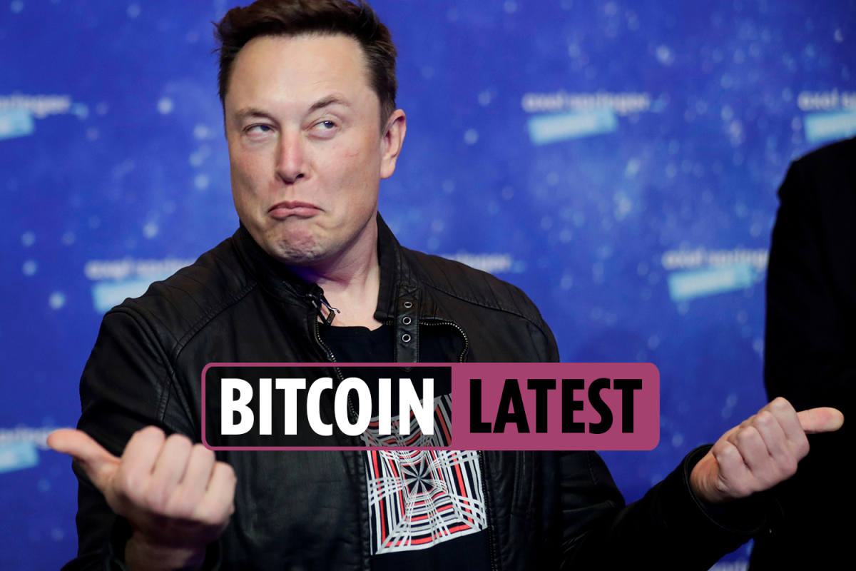 Bitcoin price updates – Elon Musk to host Saturday Night Live tonight as Dogecoin value hits …