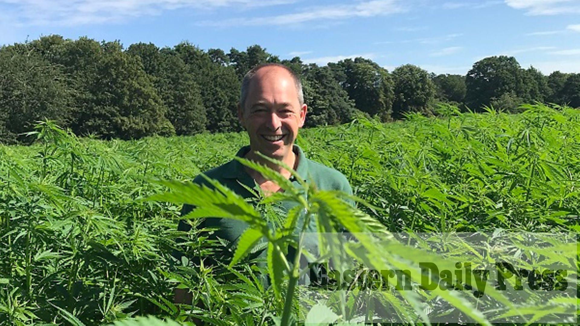 Farmers hope to unlock ‘huge potential’ of cannabis crops