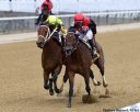 Pennsylvania-Bred Beren Catches Candy Man Rocket At The Wire In Gold Fever