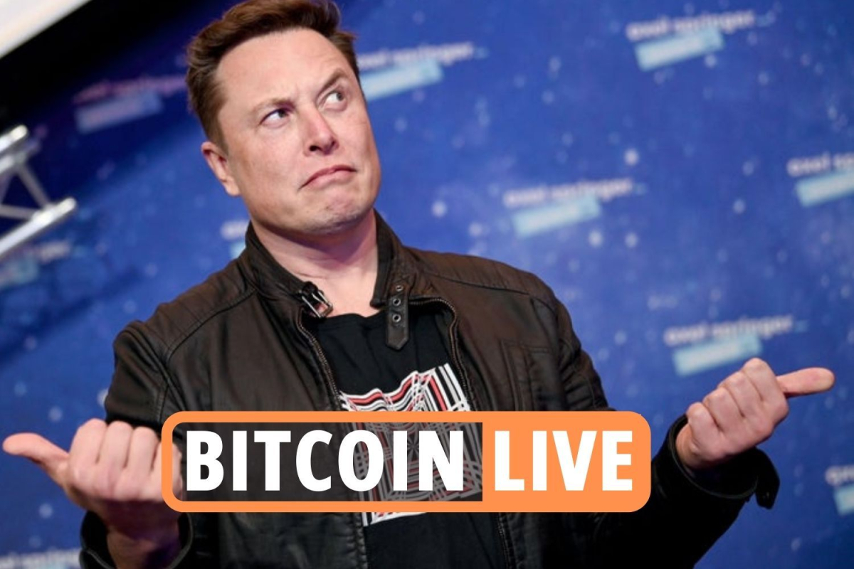 Bitcoin price latest – Crypto stocks bounce back after $6bn drop following Elon Musk’s Tesla virtual …