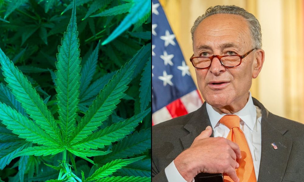 Schumer Slams ‘Bigoted’ Marijuana Laws At Rally, Saying His Federal Bill Will Legalize ‘The Right …