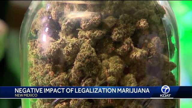 Negative impact of marijuana legalization in immigrant community