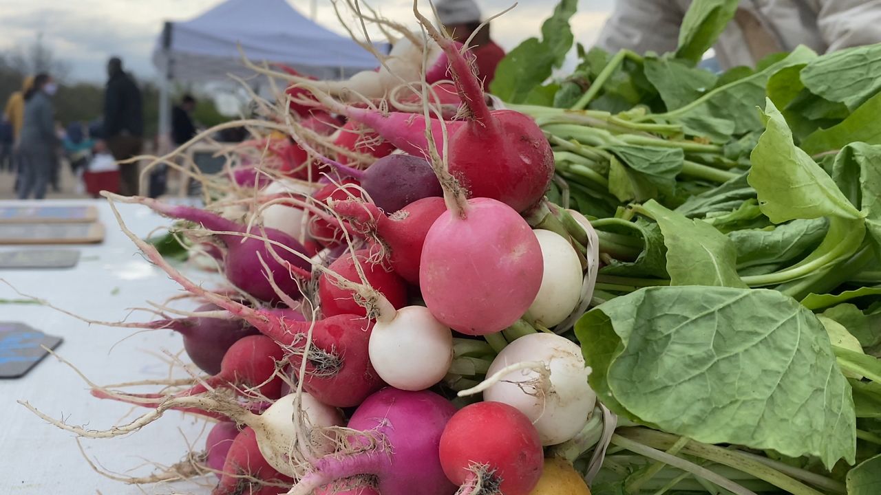 Beloved Dane County Farmers’ Market in full swing at new location