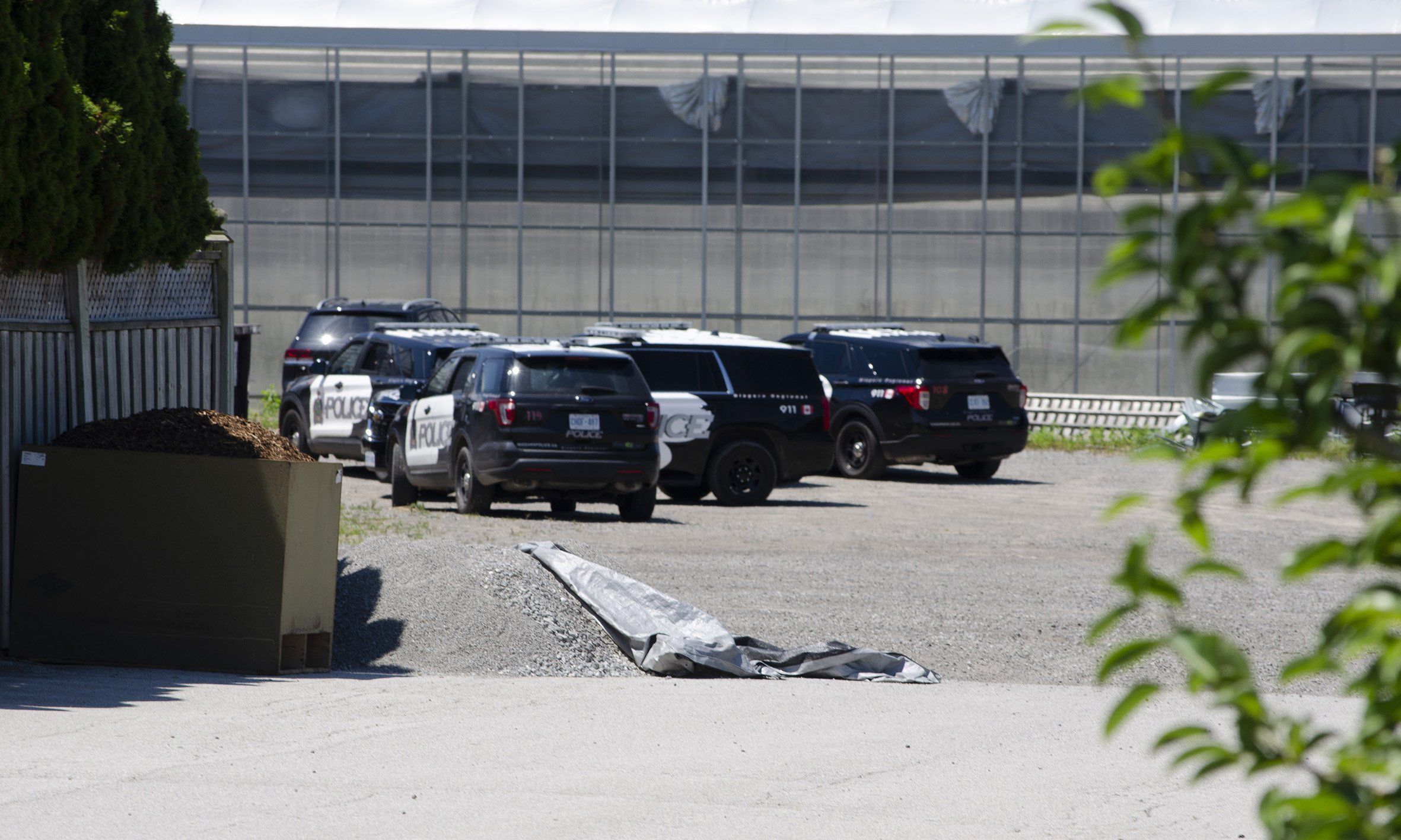 Police seize $14M worth of cannabis in St. Catharines