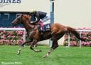 Stradivarius Chasing Fourth Gold Cup Victory At Royal Ascot