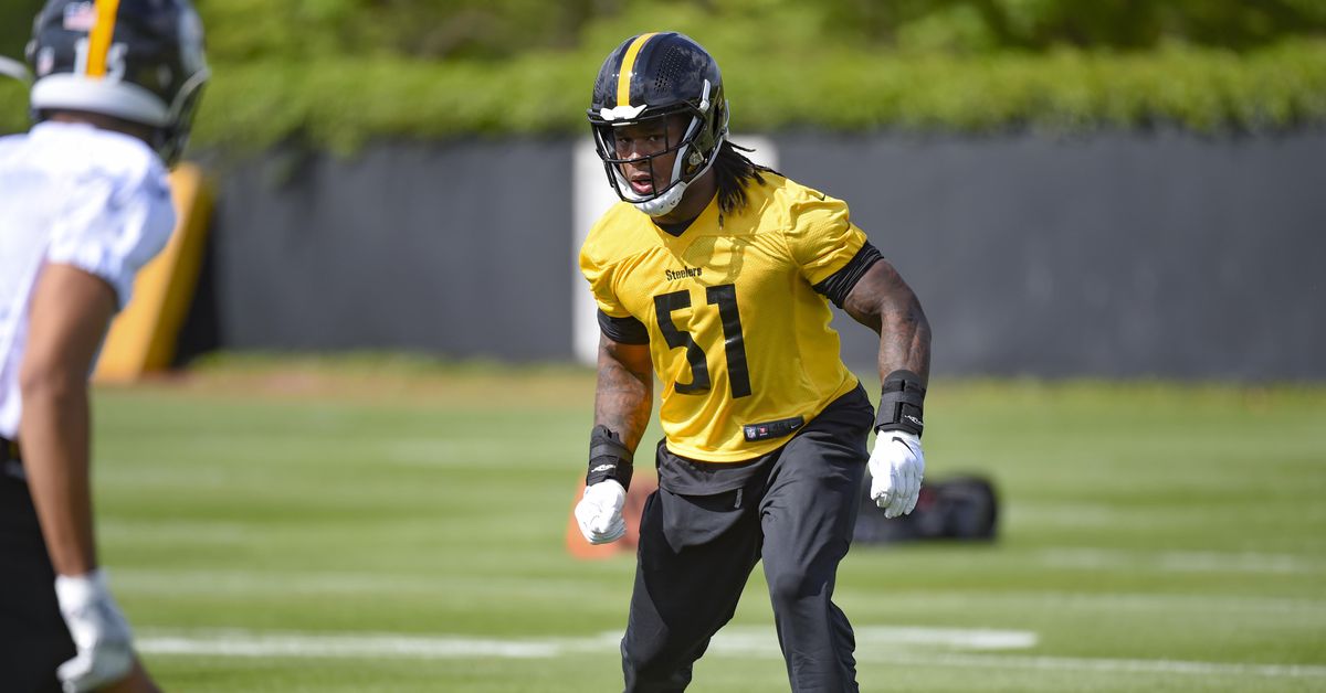 The Steelers rookies putting their stamp on the Pittsburgh community
