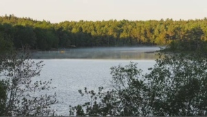 NS government says blue-green algae toxins detected in Grand Lake