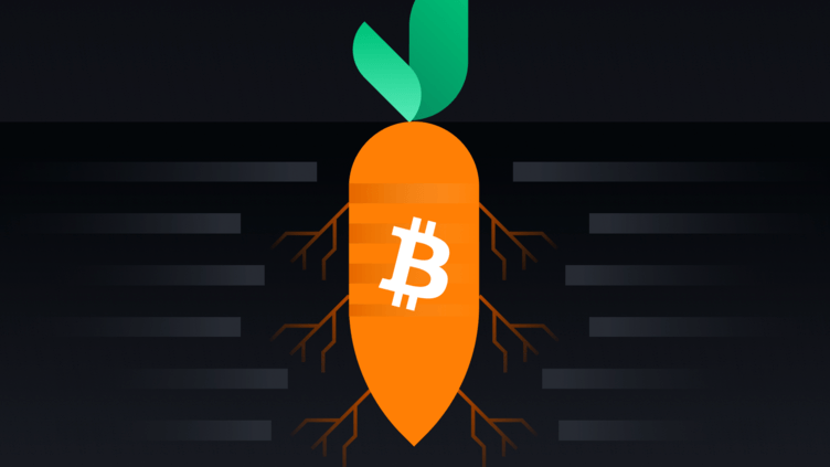 A Makeover that Changes Everything: The Bitcoin Taproot Update