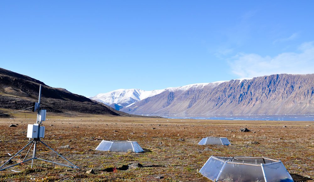 Arctic tundra will see an earlier green-up and longer growing seasons, study says