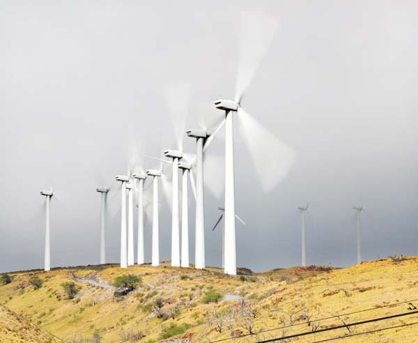 Hawaii options for green energy abound