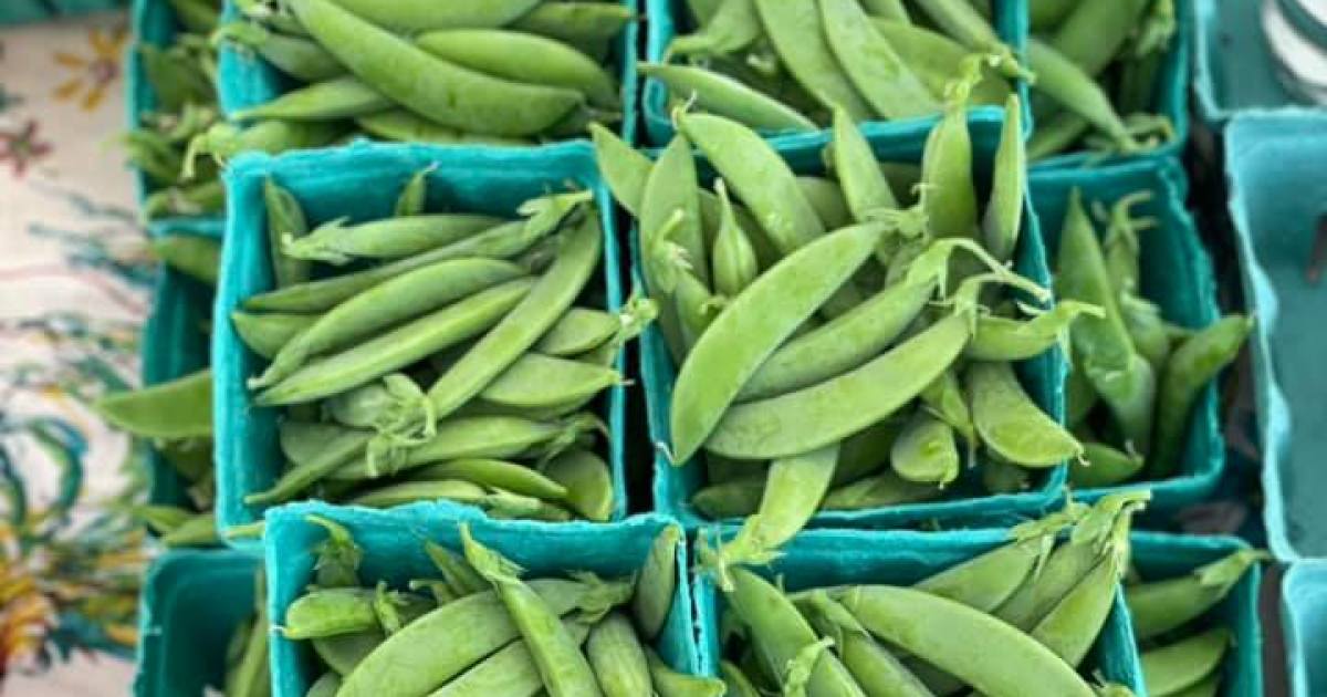 Canton Farmers Market now in full swing for regular season at Preservation Park