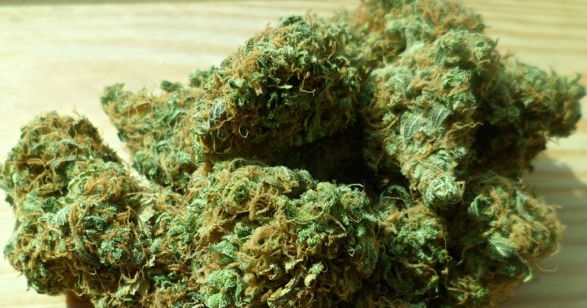 Survey Finds Short Term Medical Cannabis Use Beneficial