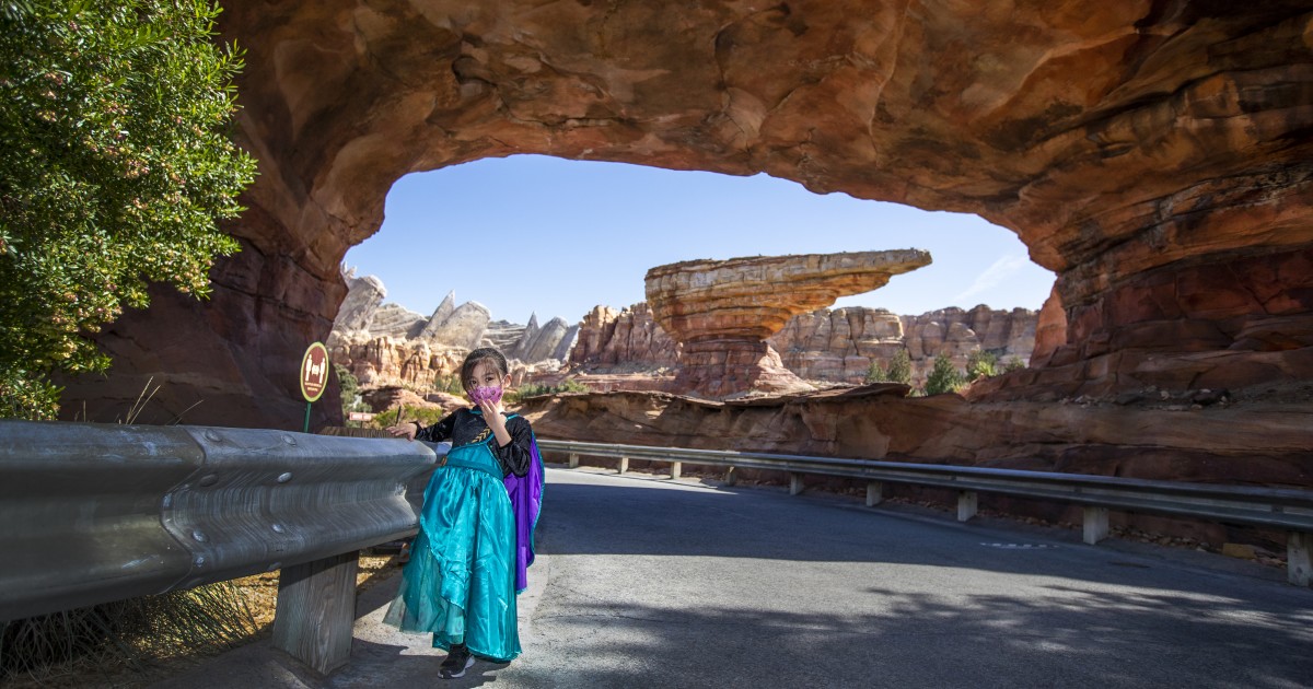 Now more than ever, a day at Disneyland feels like a journey to another world