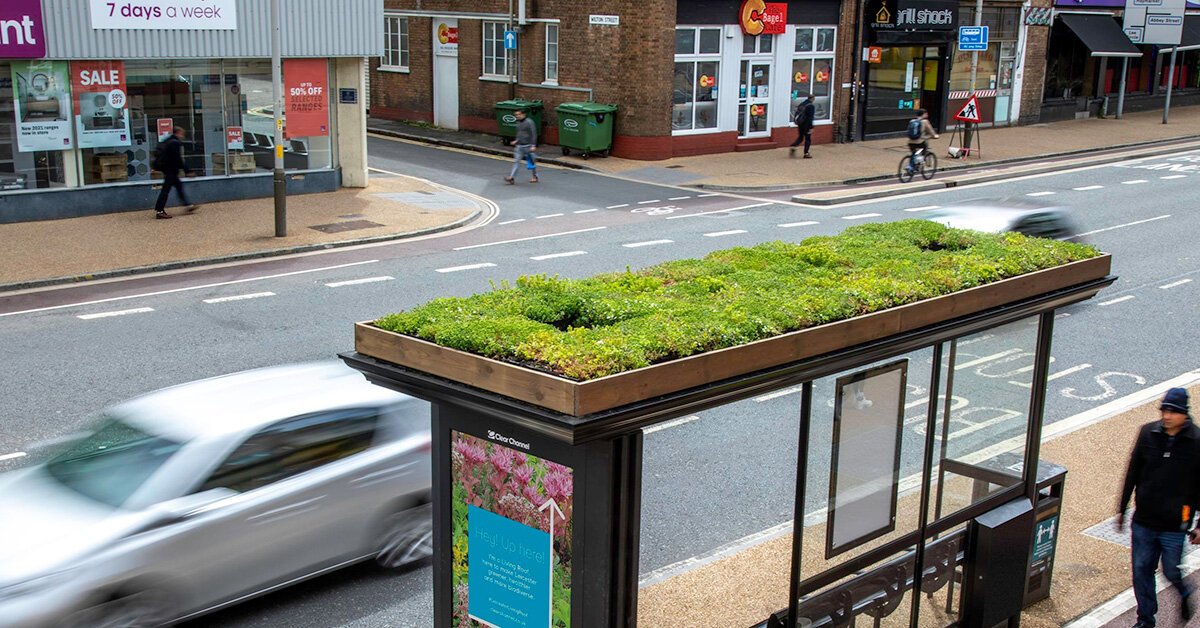 leicester transforms thirty bus stops into green-roofed ‘bee stops’