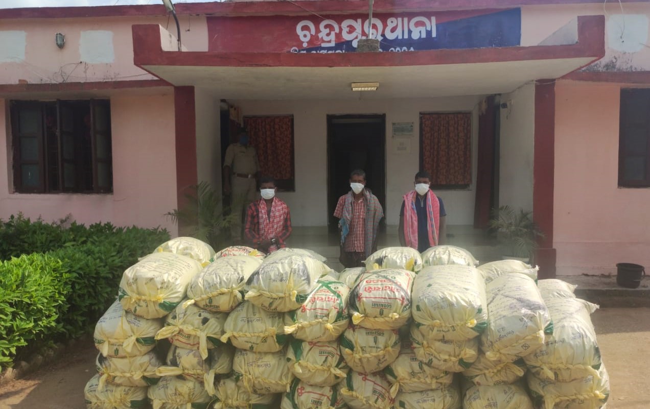 Cannabis worth Rs 1 crore seized in Odisha’s Rayagada; 3 held