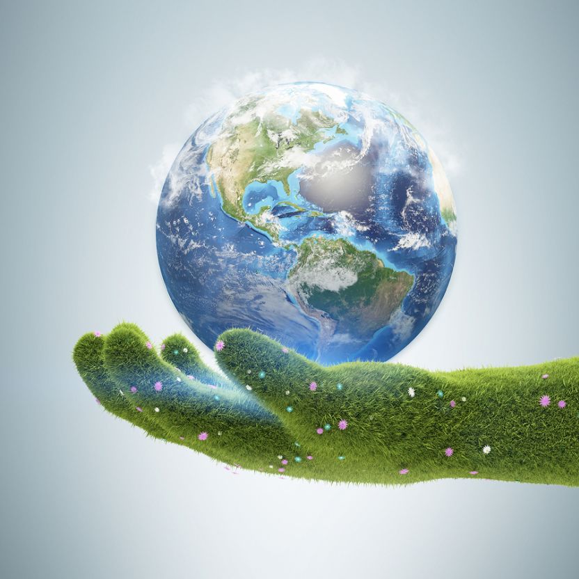 ESG Focus: It’s Easy Being Green – For Now (Part 2)