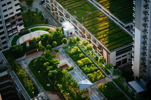 31 cities commit to green infrastructure targets