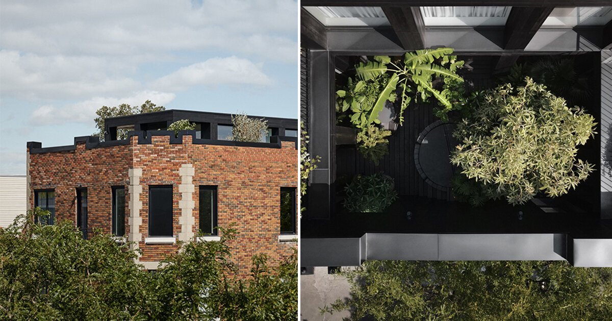 open-air courtyard adds a pop of green to the humble interior renovation in canada