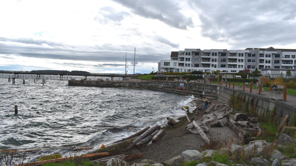 UPDATE: Wind and rain intensifies across Greater Victoria as storm arrives – Oak Bay News