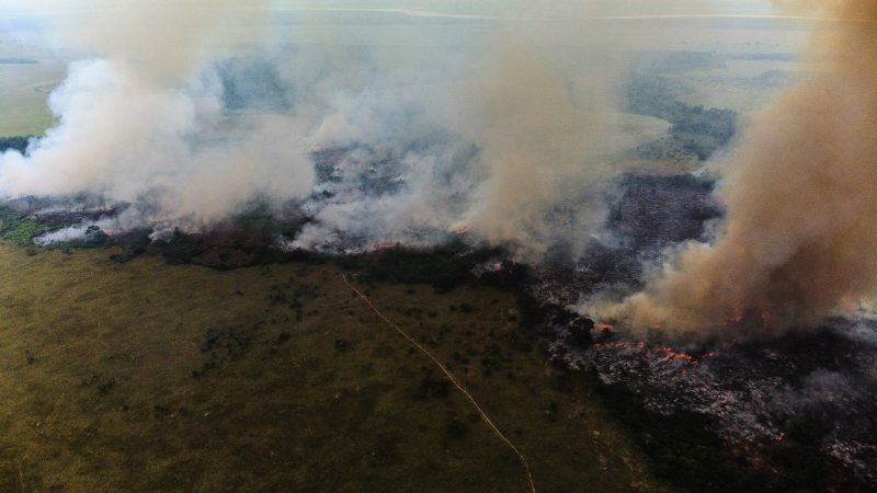 Deforestation continues unabated ahead of COP26 – EURACTIV.com