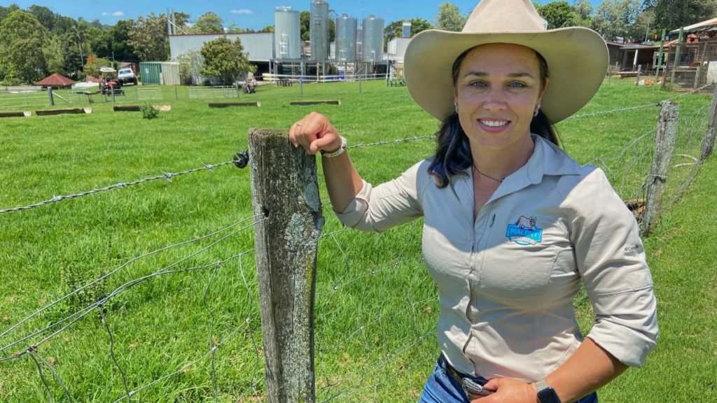 Maleny Dairies gets the guernsey for going beyond carbon neutral – Queensland Country Life