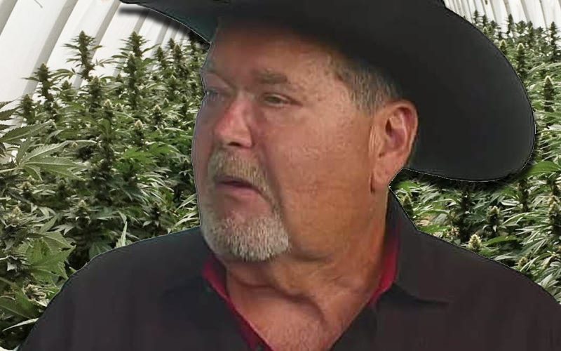 Jim Ross Is Opening A Cannabis Farm In Oklahoma – Ringside News