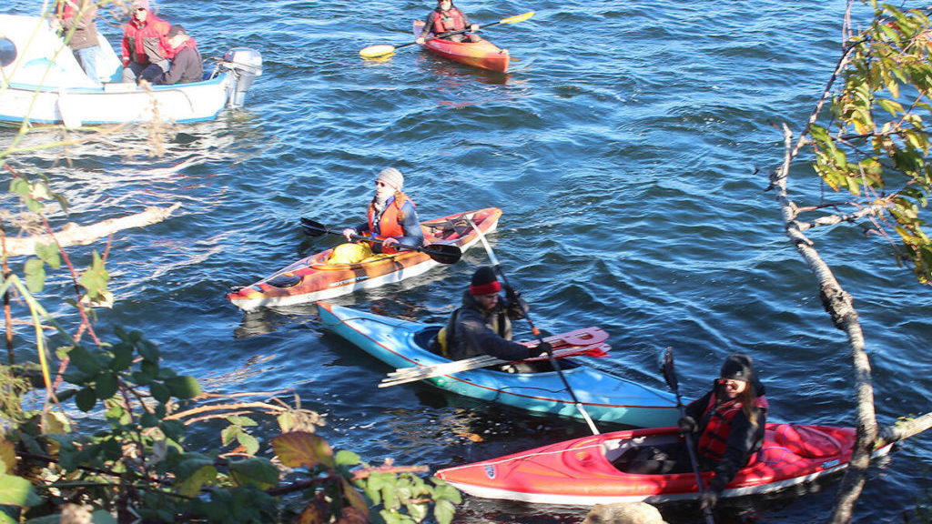 BC environmental activists form flotilla in protest of raw log exports – Prince Rupert Northern View