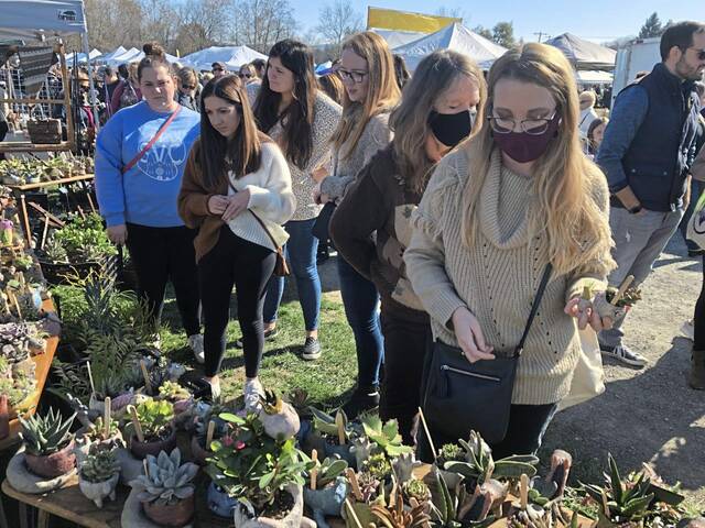 Holiday shopping season starts at packed Ligonier Country Market | TribLIVE.com