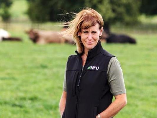 News in brief from the NI farming industry – Irish Farmers Journal