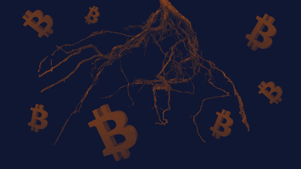 Bitcoin’s long-anticipated Taproot upgrade is activated – The Block