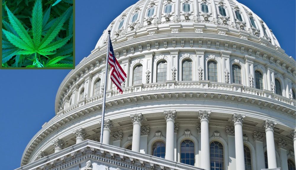 Republican Lawmakers File Bill To Tax And Regulate Marijuana As Alternative To …