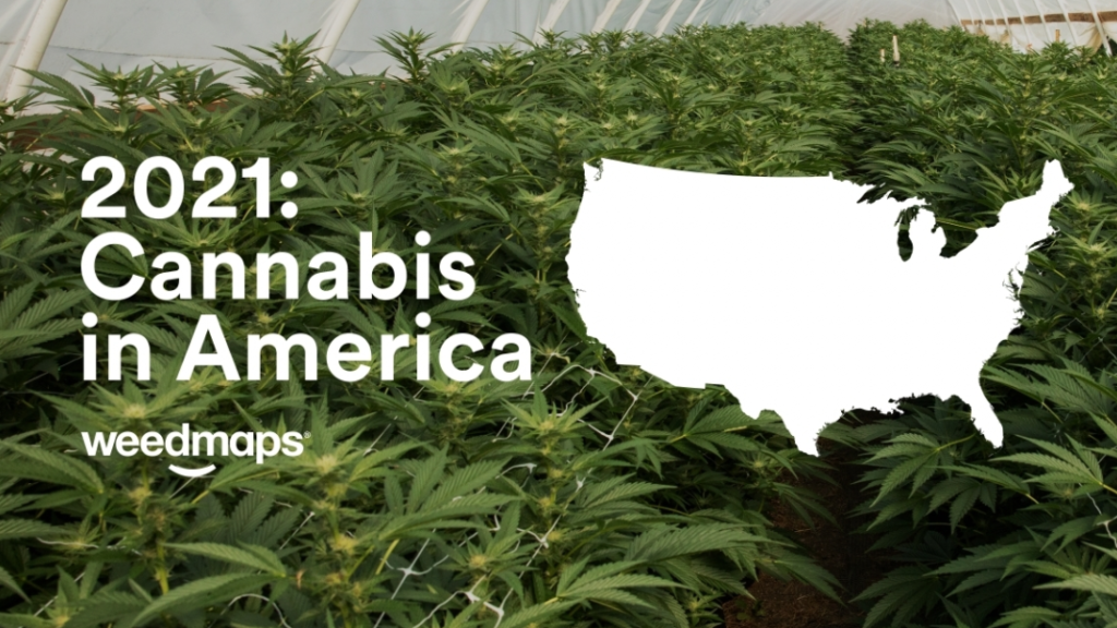 Weedmaps releases first data & insights report: Cannabis in America – Greenway Magazine