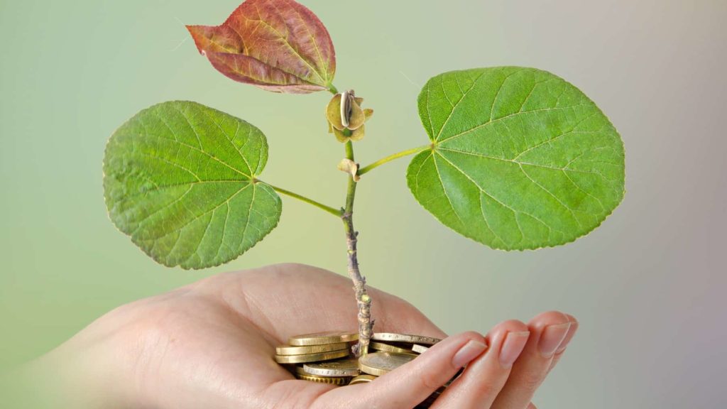 Could carbon credits become the new crypto? This fundie thinks so – Motley Fool Australia