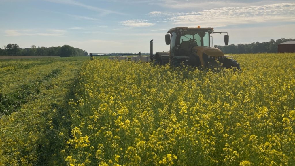 More US Farmers Plant Cover Crops – VOA Learning English