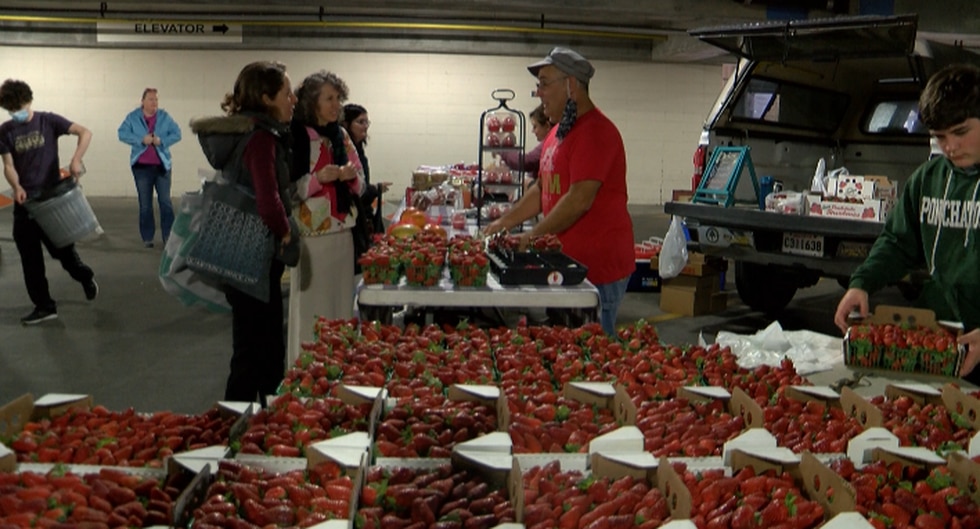 Local farmers offer product alternatives as supply issues continue – WAFB