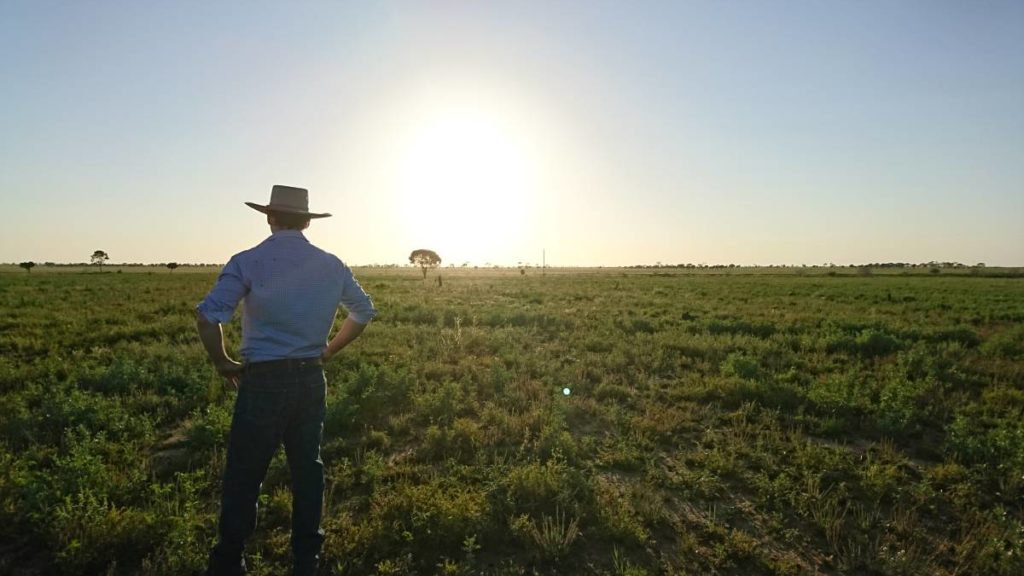 New methods make it easier for farmers to get ERF carbon credits – North Queensland Register