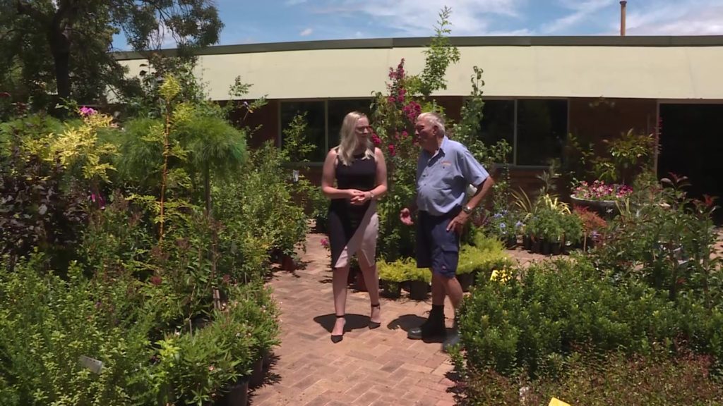 iconic heemskerks nursery hits the market after 55 years – NBN News