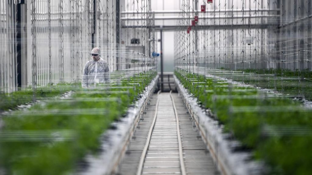 The Faceoff: Tilray reports a net profit in its second quarter fiscal 2022 as Sundial revises its …