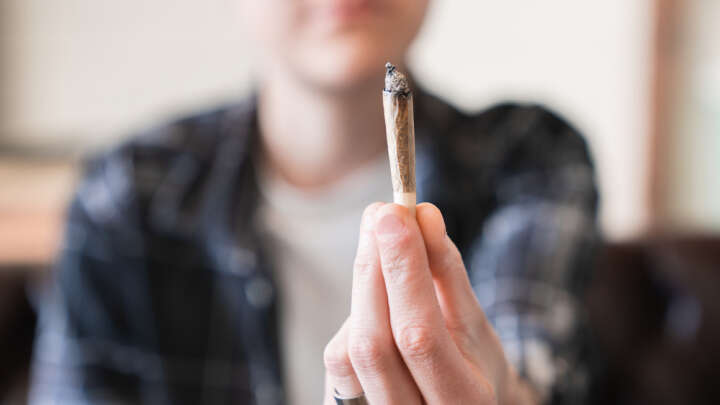 What Happens When You Quit Cannabis? | IFLScience