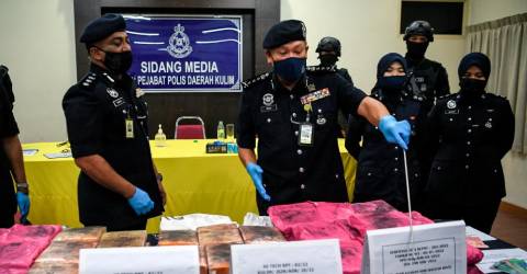 8 nabbed, cannabis worth over RM147,000 seized – The Sun daily