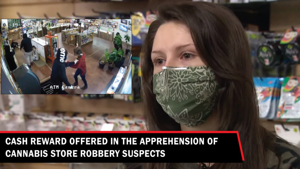 Cash reward offered for Lynnwood cannabis robbery suspects