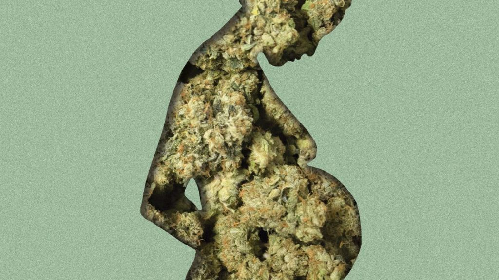 Weed’s Last Taboo: Pregnancy – The Cut