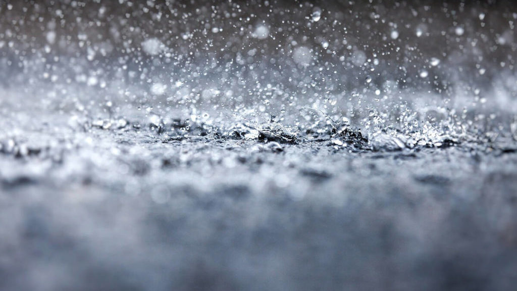 Fraser Valley forecast: Week of rain and showers ahead – Agassiz Harrison Observer