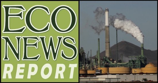 THE ECONEWS REPORT: Is California’s Carbon Credit System a Failure? – Lost Coast Outpost