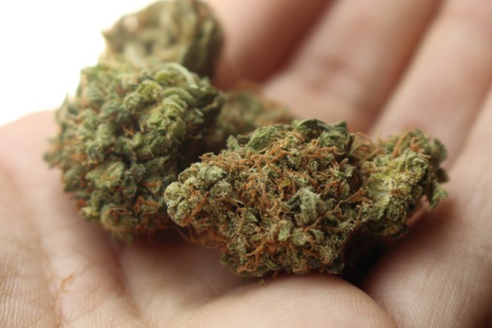 Ontario to Permanently Allow Cannabis Delivery and Curbside Pickup – 101.1 More FM