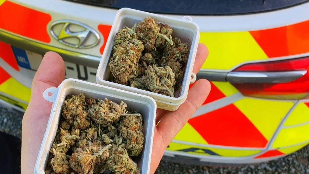 Garda checkpoints Ireland: One unit has busy week as vehicles and cannabis seized at …